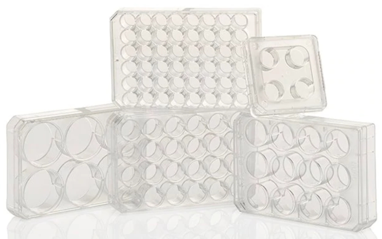 細胞培養分隔盤