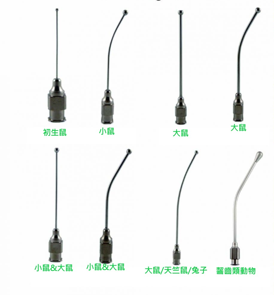動物用餵食針(初生鼠/小鼠/大鼠)