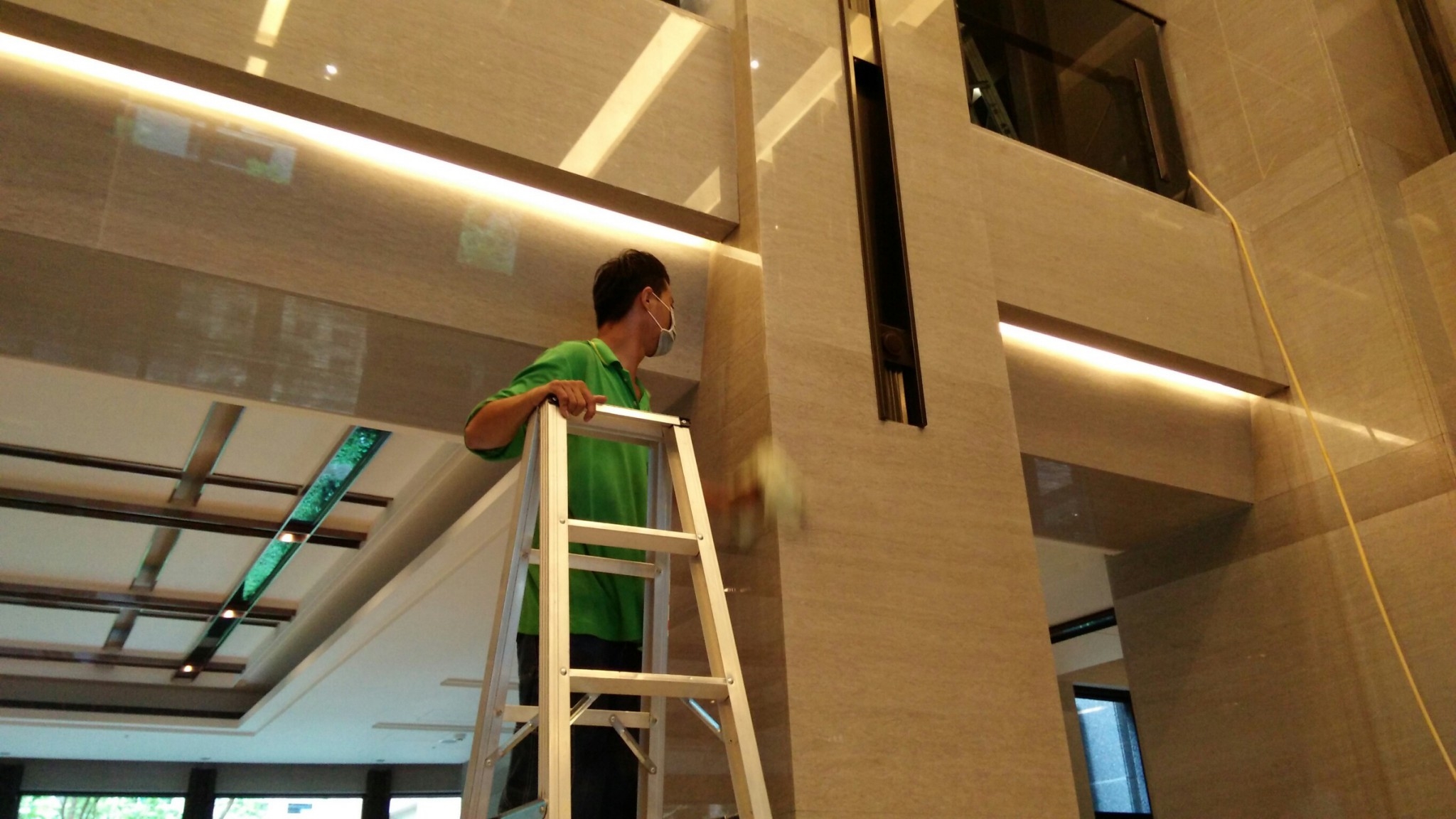 大樓除白蟻工程