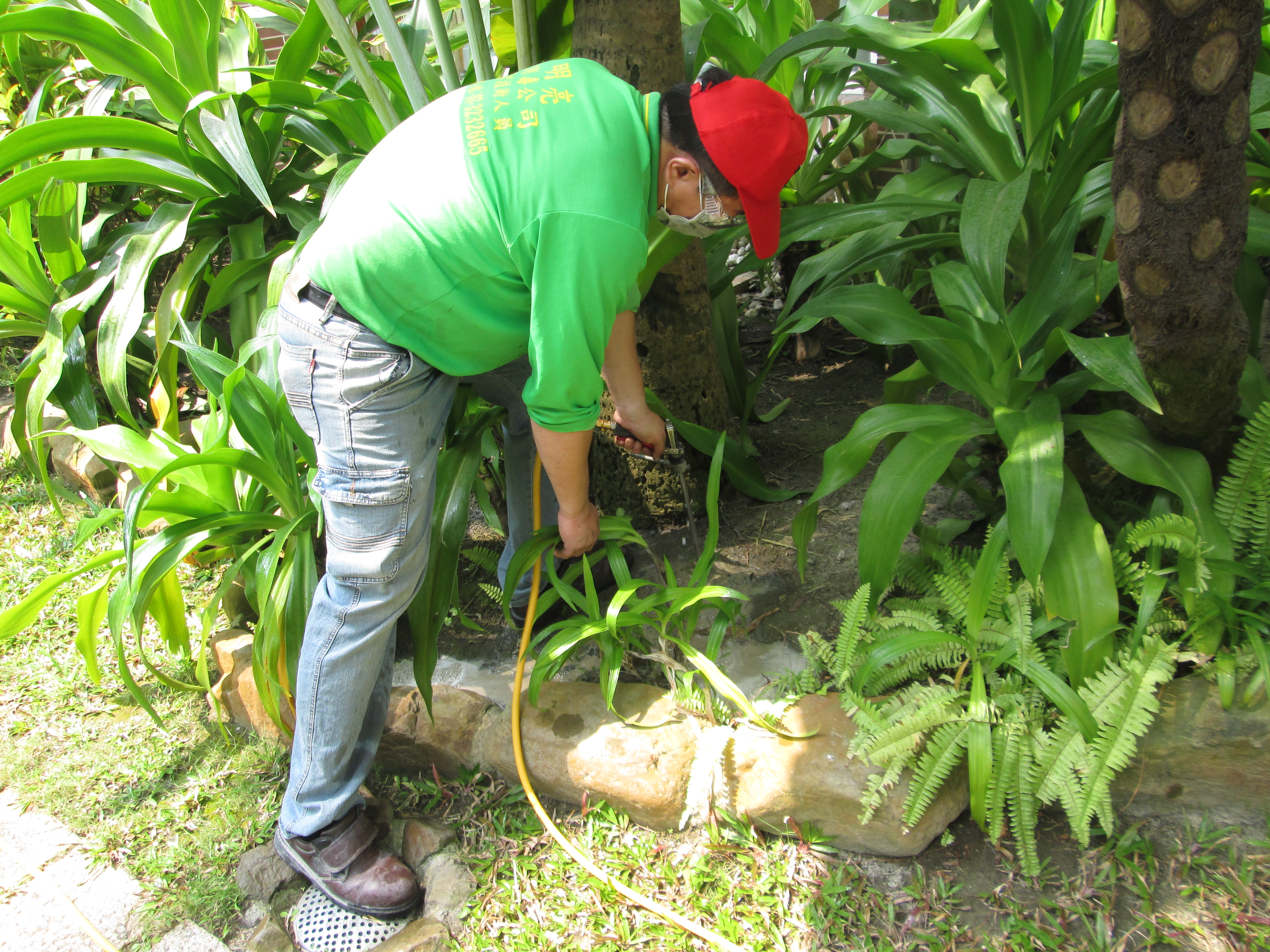 大樓中庭花園施工照片土壤灌注法