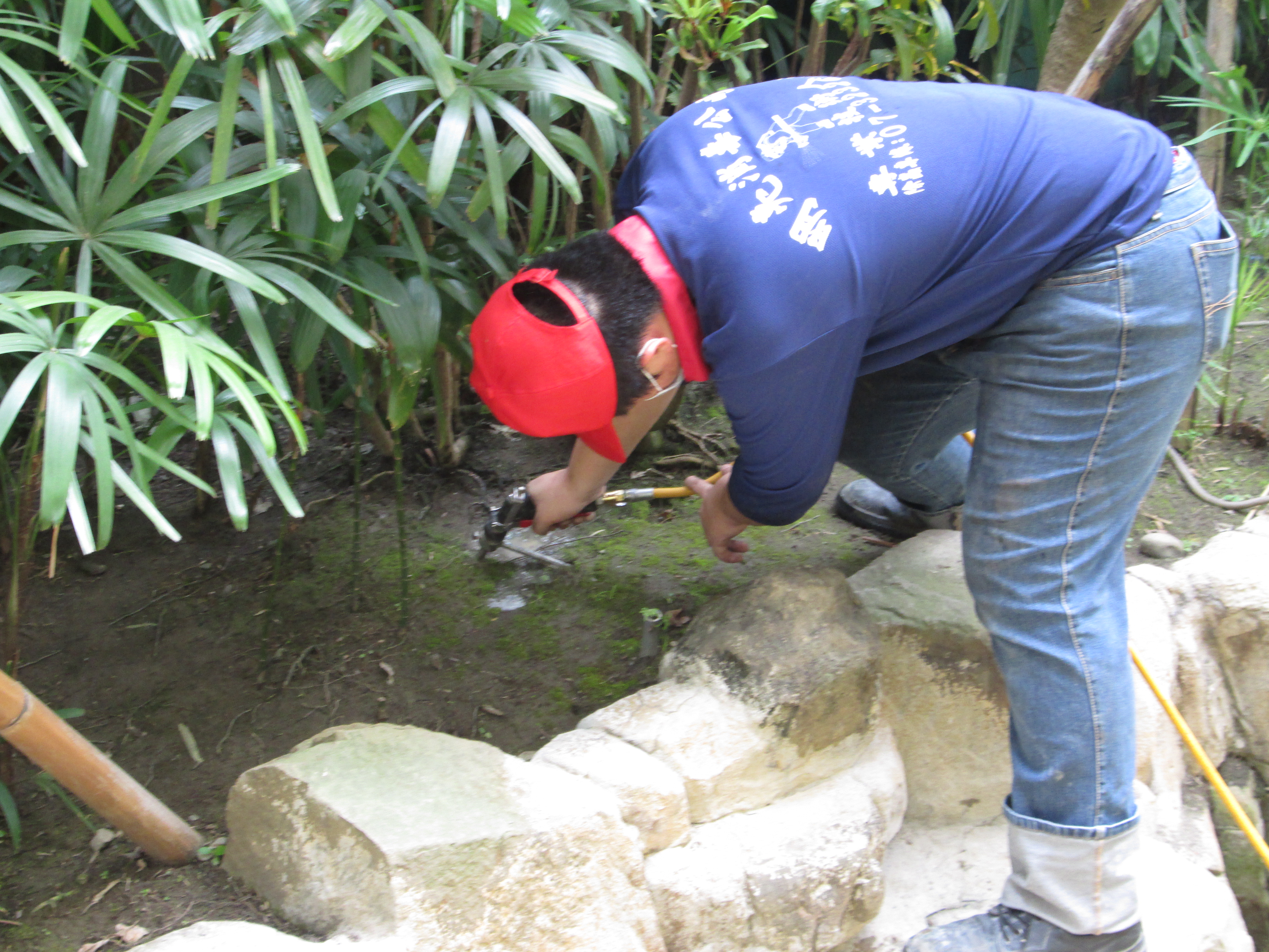 大樓中庭花園施工照片土壤灌注法