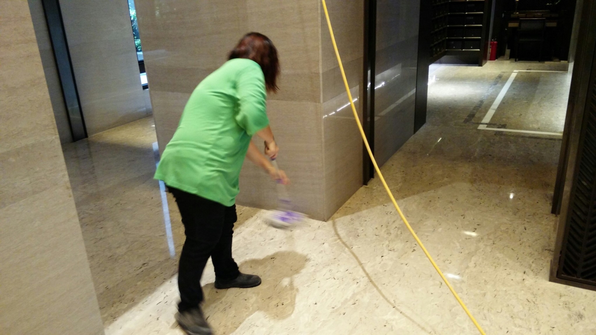 大樓除白蟻工程