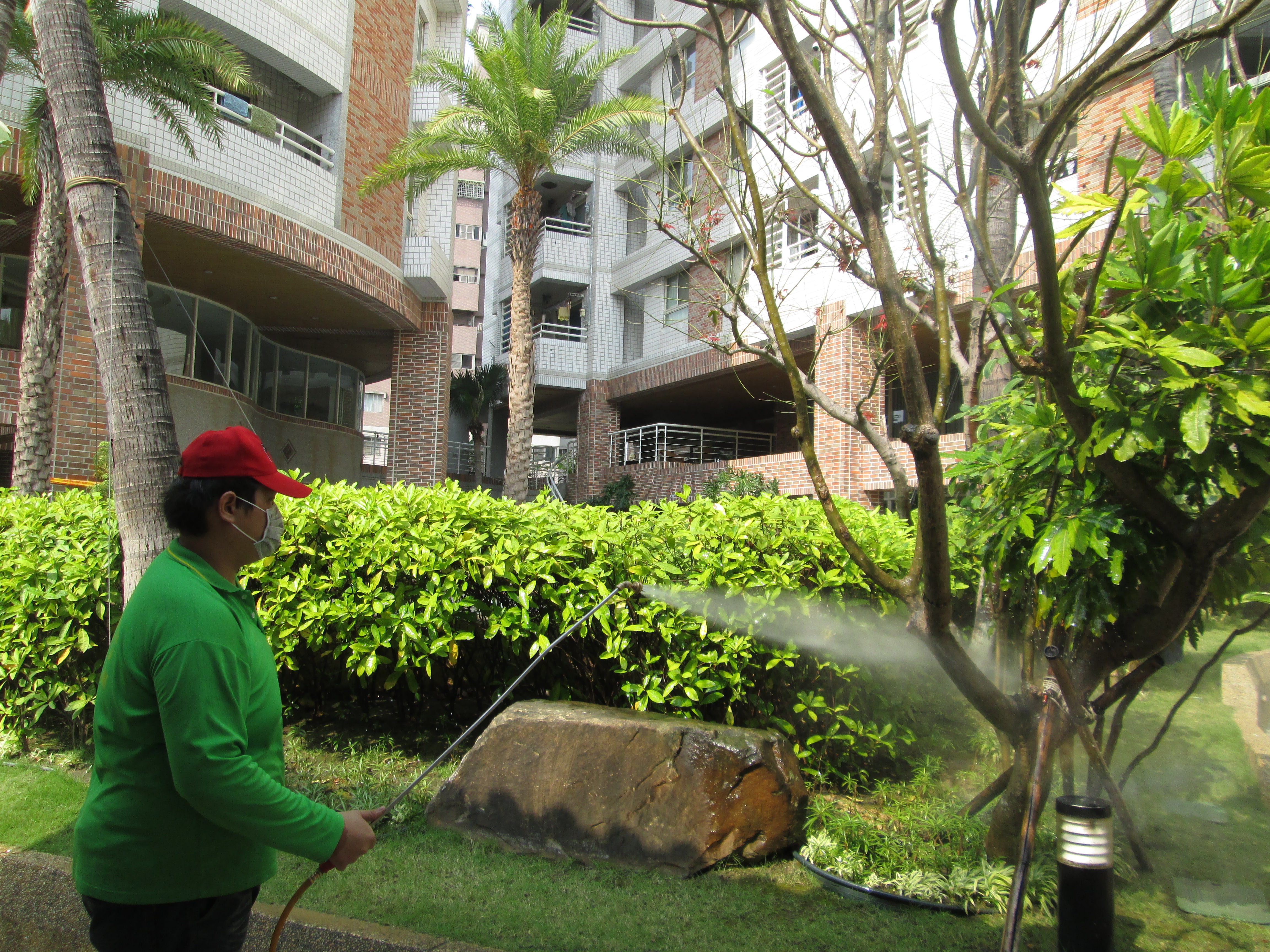 大樓中庭花園施工照片土壤灌注法