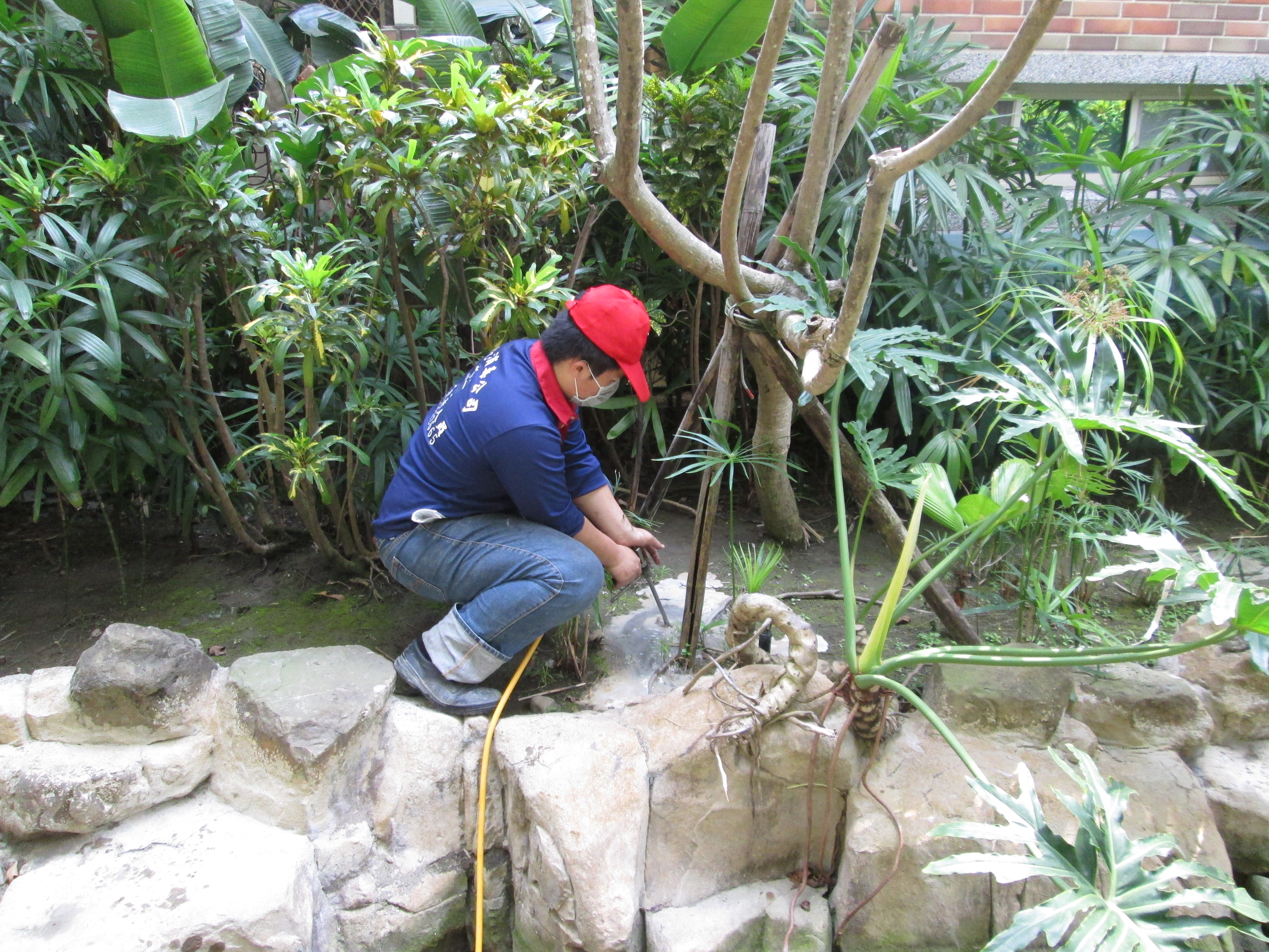 大樓中庭花園施工照片土壤灌注法