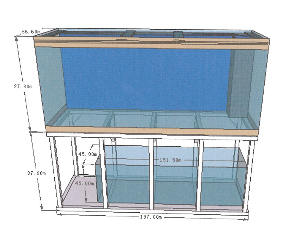 中大型下濾式觀賞魚缸