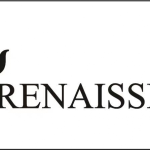 瑞納瑟科技股份有限公司-undefined