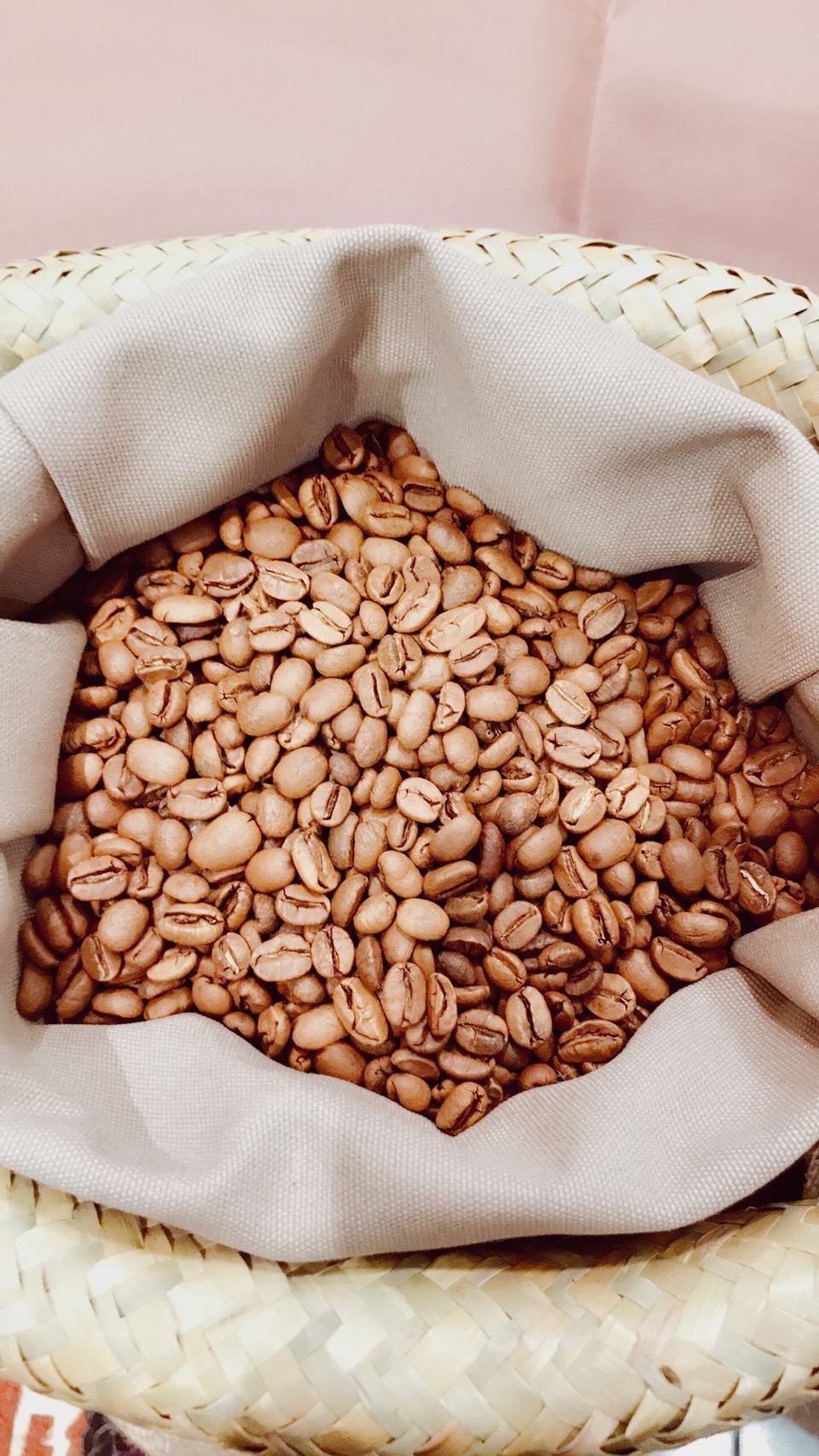 台灣阿里山-阿拉比卡咖啡豆