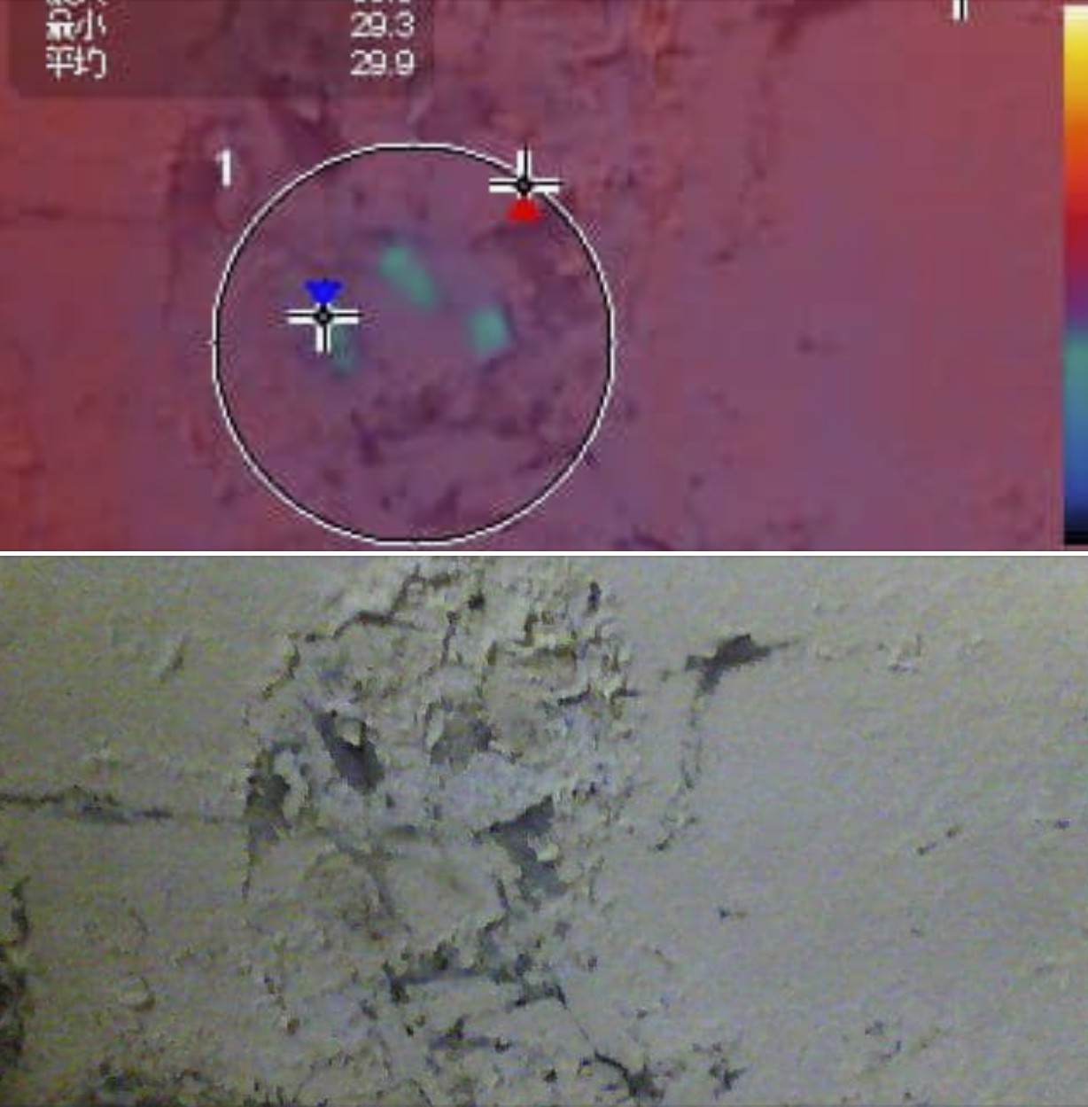 使用熱顯像儀檢測壁癌