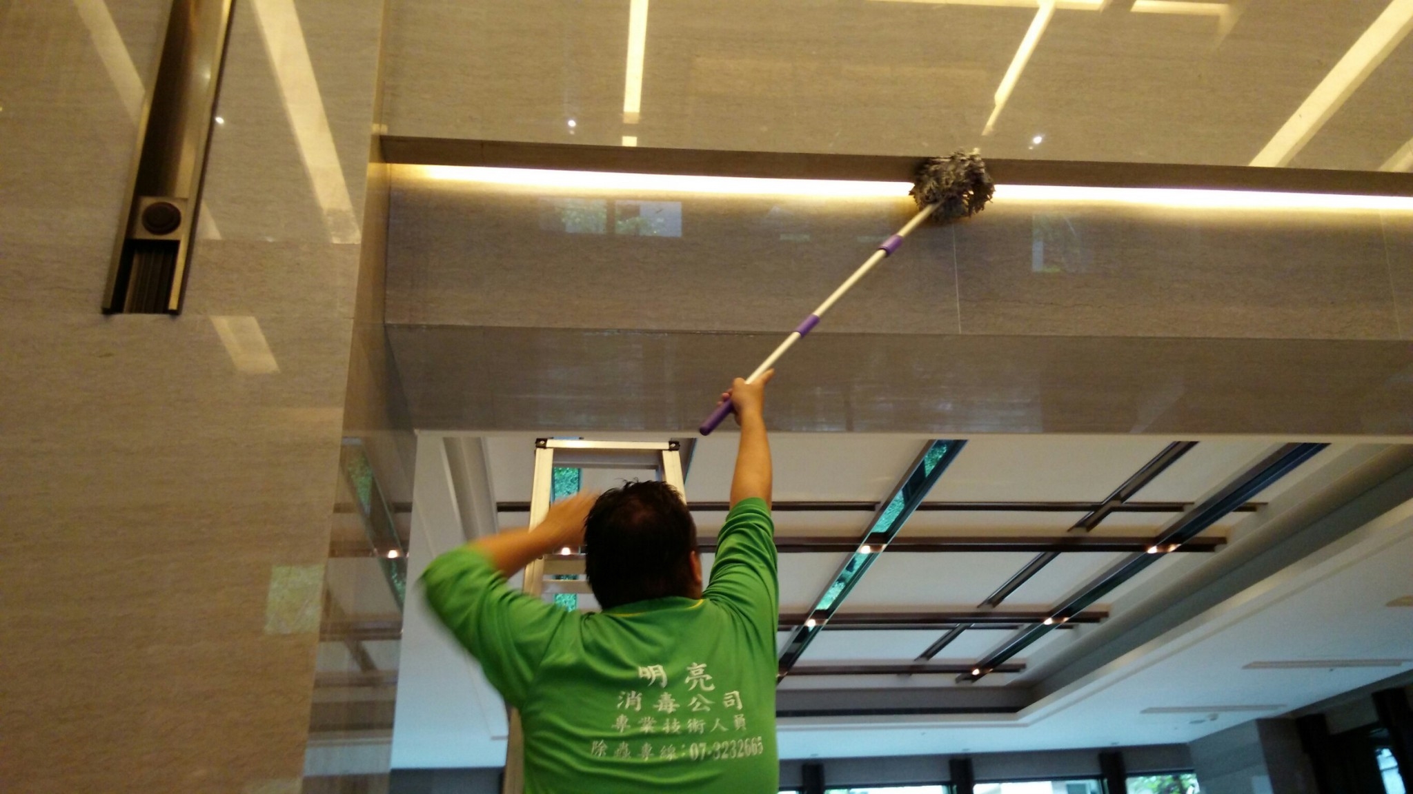 大樓除白蟻工程