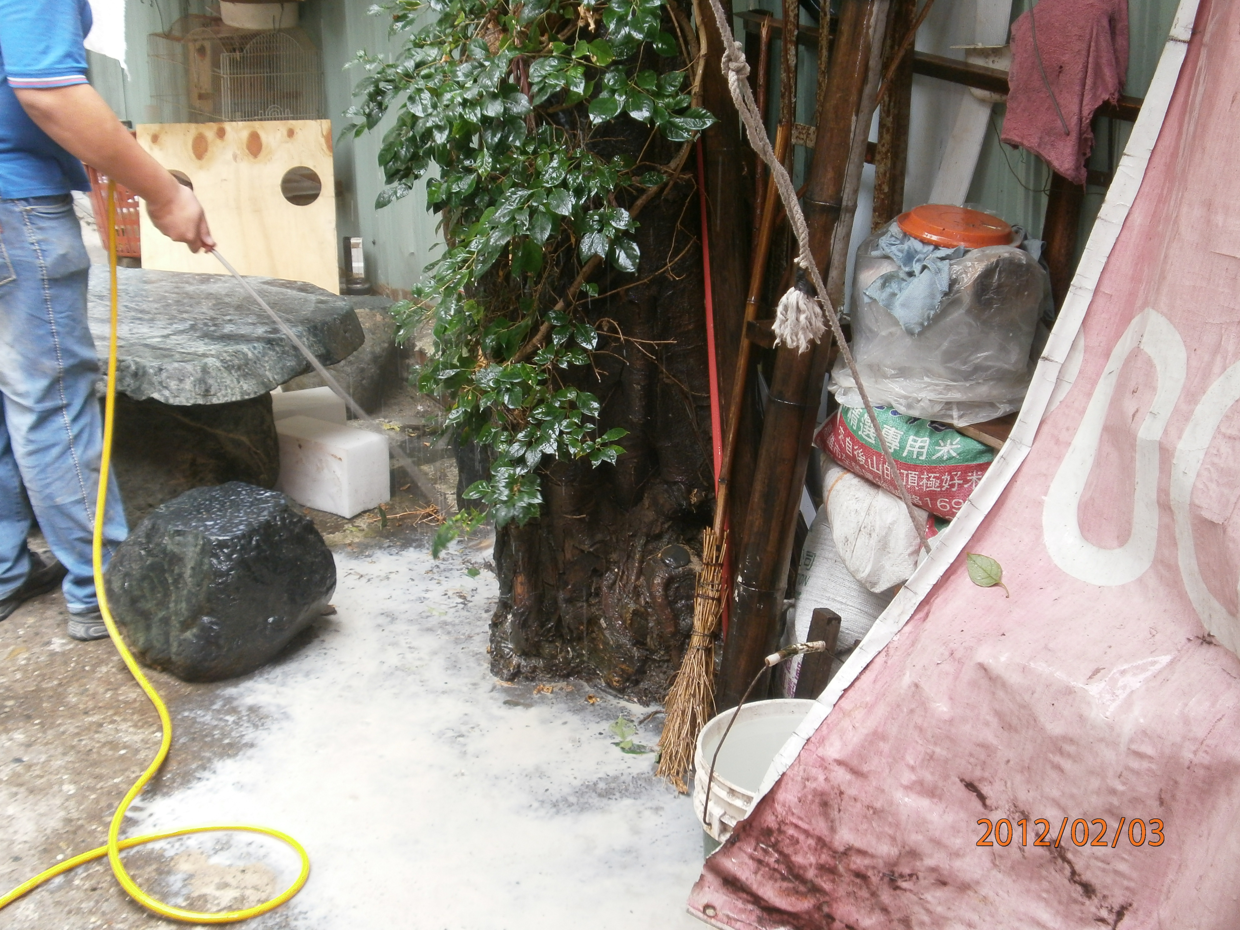 餐飲業消毒除蟲