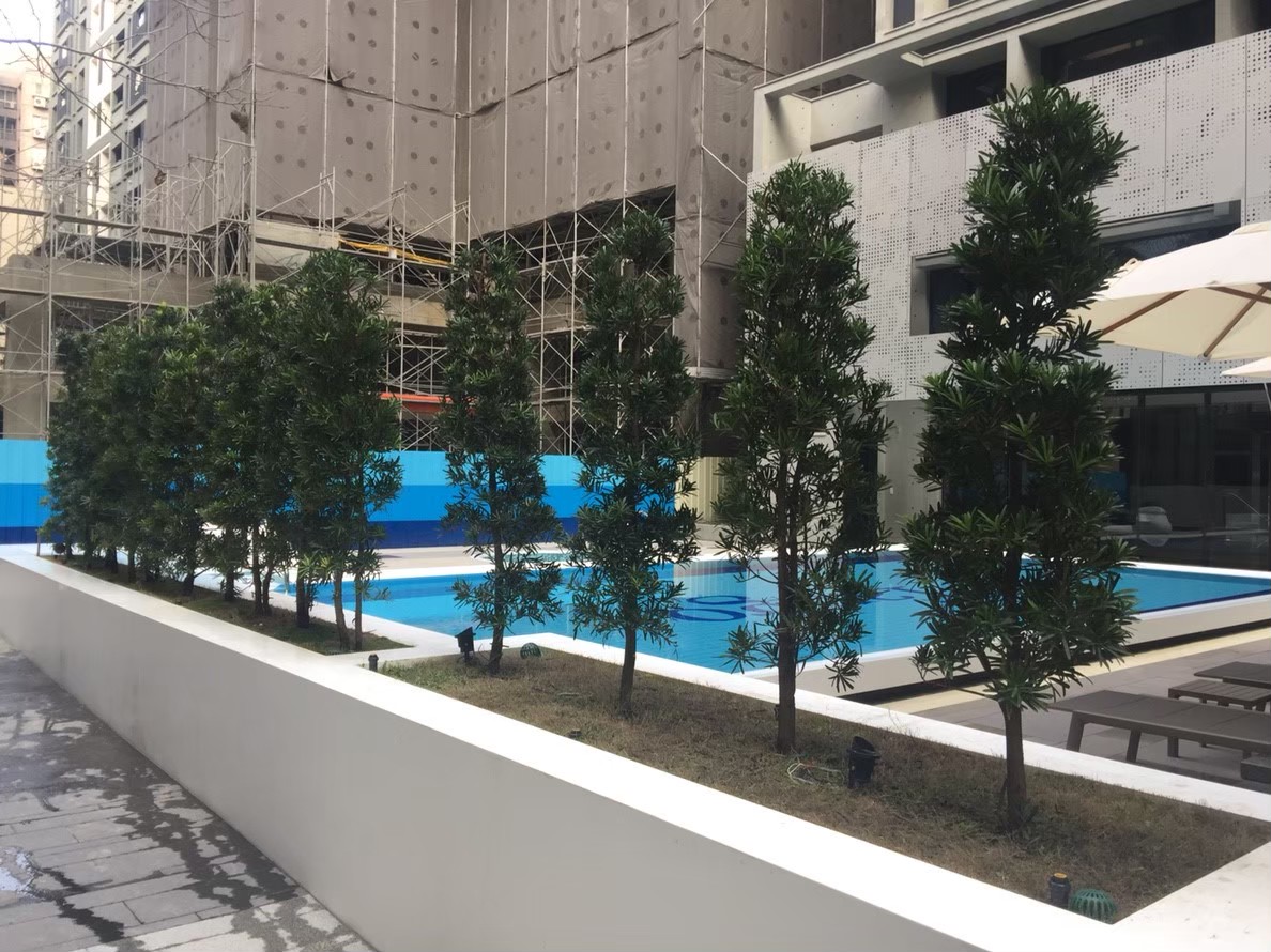 台北市旅店庭園園藝整理-園藝修剪整理,鋸樹矮化作業,花草樹木種植,園藝造園工程,庭院花園整理,割草鋸樹修剪-免費現勘