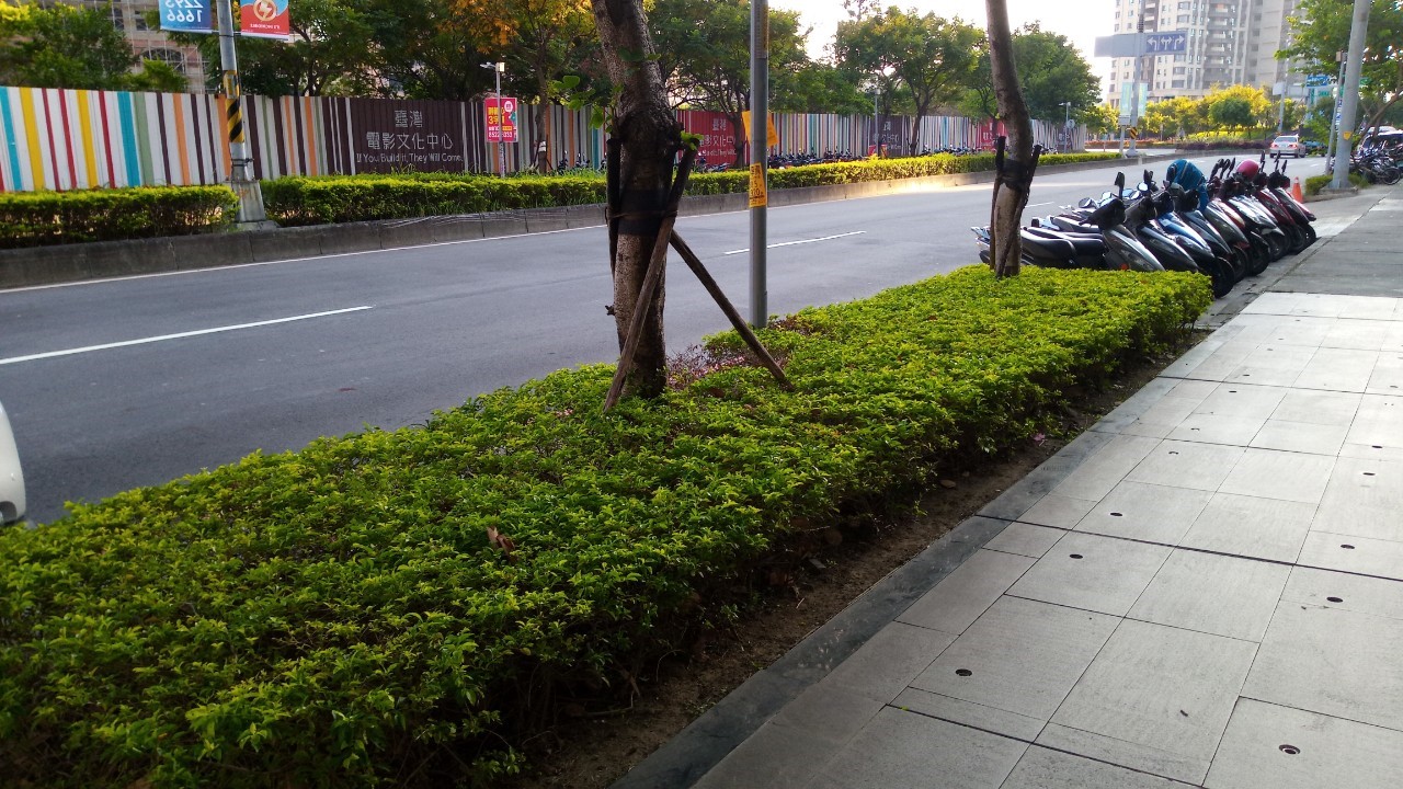 新北新裝社區園藝修剪整理工程-園藝修剪整理,鋸樹矮化作業,花草樹木種植,園藝造園工程,庭院花園整理,割草鋸樹修剪-免費現勘