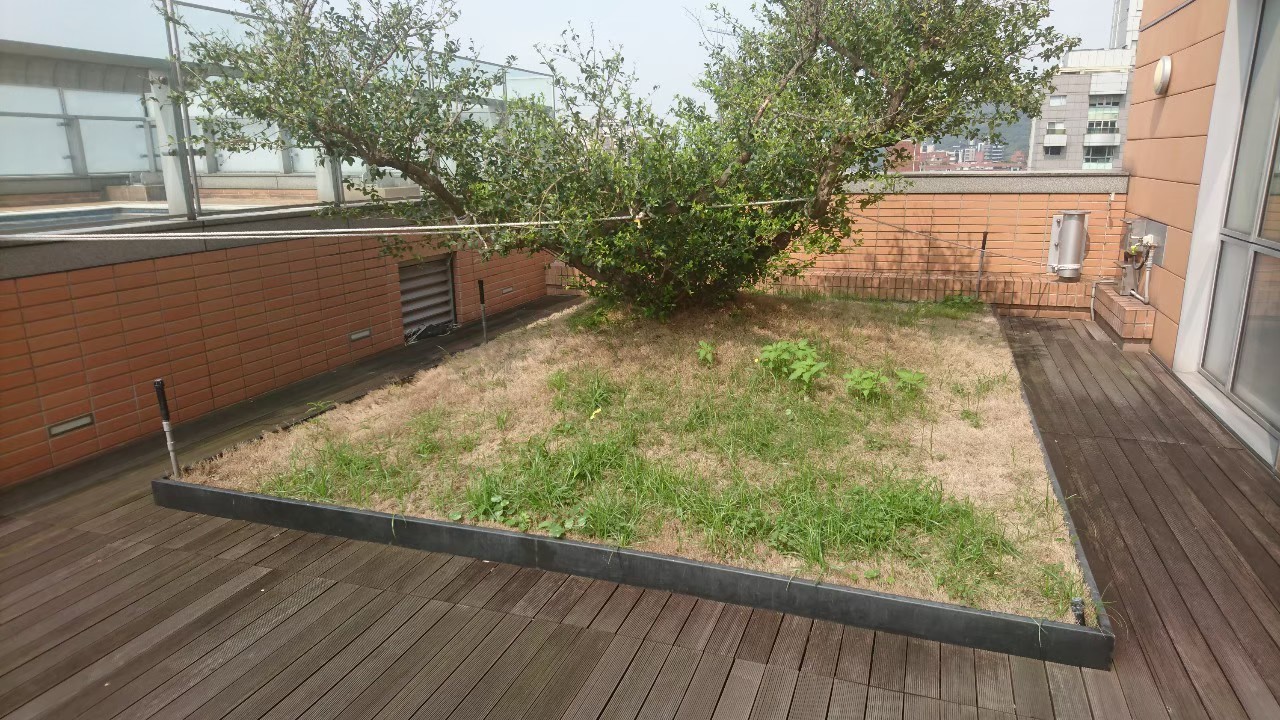 台北社區園藝修剪整理-園藝修剪整理,鋸樹矮化作業,花草樹木種植,園藝造園工程,庭院花園整理,割草鋸樹修剪-免費現勘