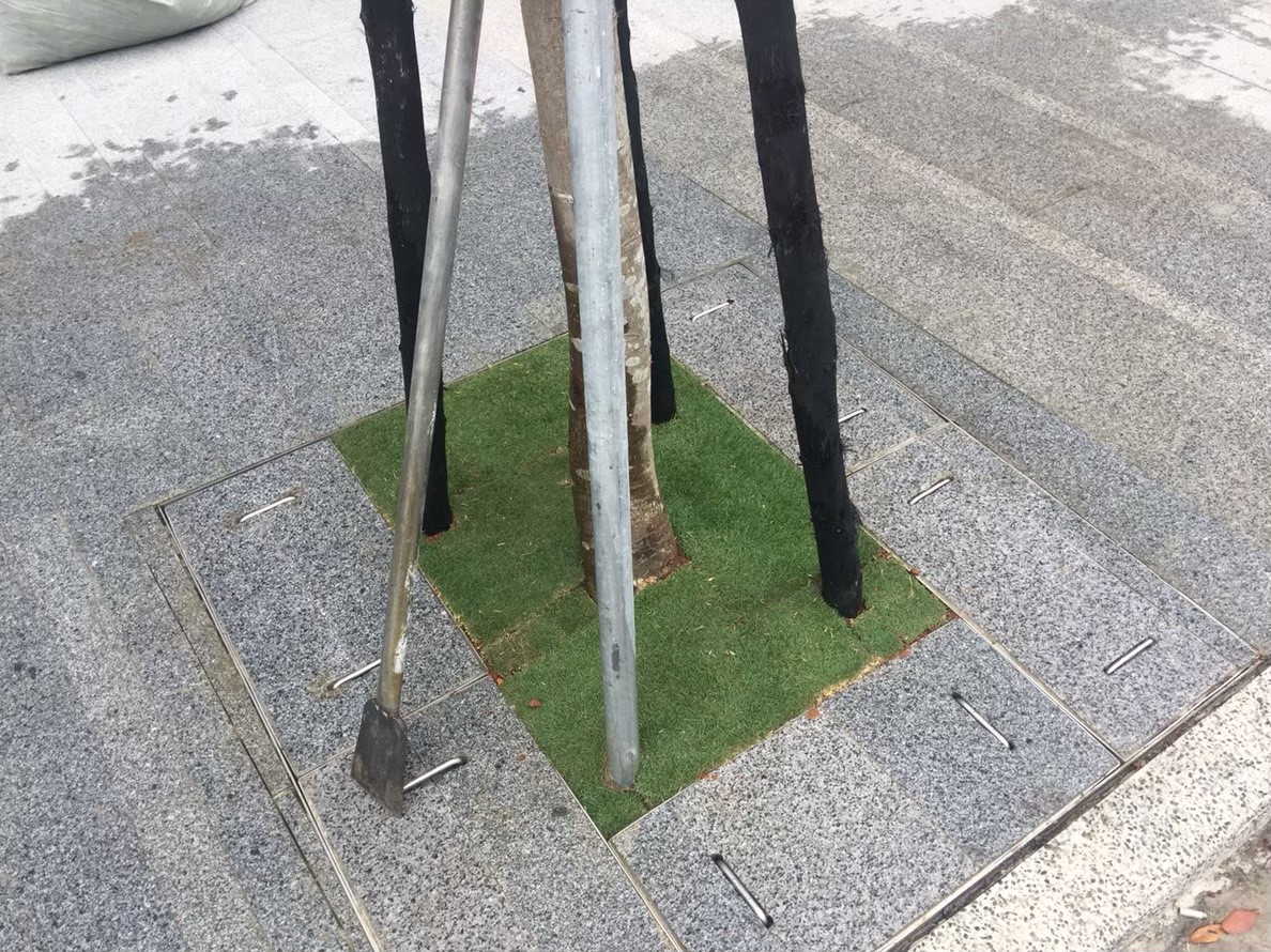 台北新北種植草皮-園藝修剪整理,鋸樹矮化工程,花草樹木種植,造園景觀工程社區住家庭院園藝整-免費現勘