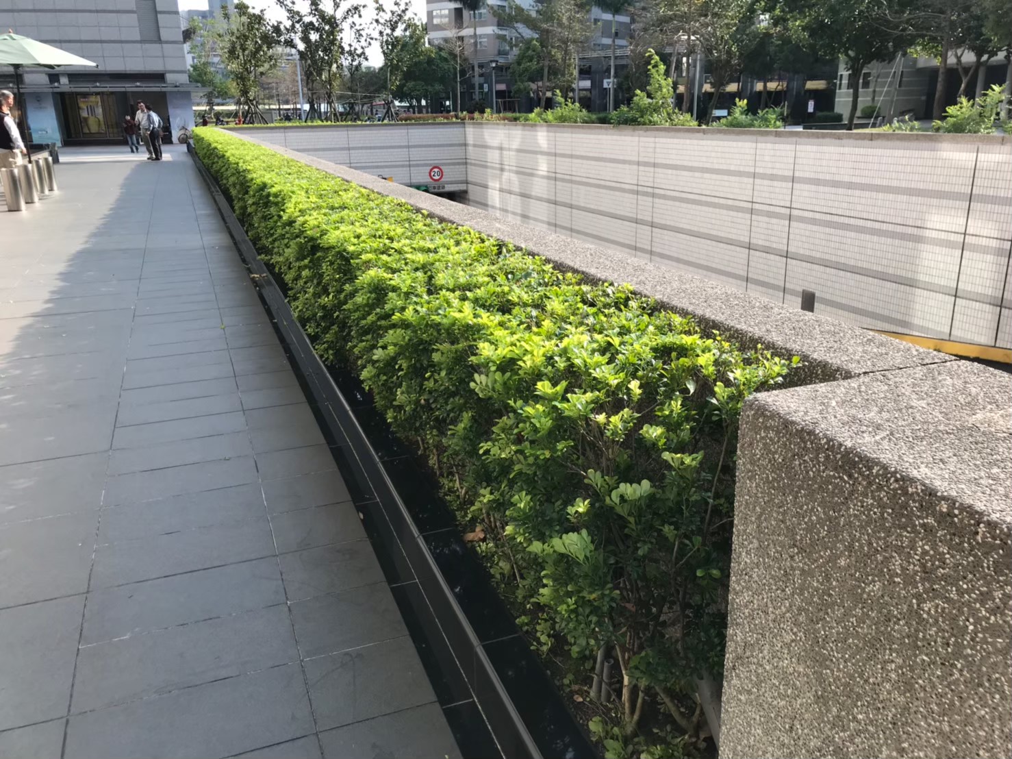 台北公司庭院園藝修剪維護-園藝修剪整理,鋸樹矮化作業,花草樹木種植,園藝造園工程,庭院花園整理,割草鋸樹修剪-免費現勘