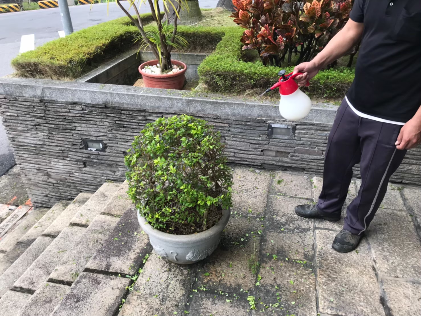 台北市社區園藝修剪維護-園藝修剪整理,鋸樹矮化作業,花草樹木種植,園藝造園工程,庭院花園整理,割草鋸樹修剪-免費現勘