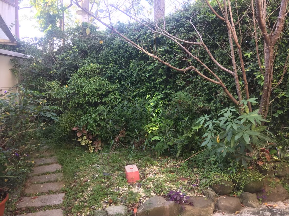 三重住家社區園藝修剪整理-園藝修剪整理,鋸樹矮化作業,花草樹木種植,園藝造園工程,庭院花園整理,割草鋸樹修剪-免費現勘