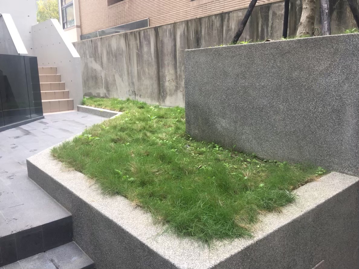 台北市旅店庭園園藝整理-園藝修剪整理,鋸樹矮化作業,花草樹木種植,園藝造園工程,庭院花園整理,割草鋸樹修剪-免費現勘