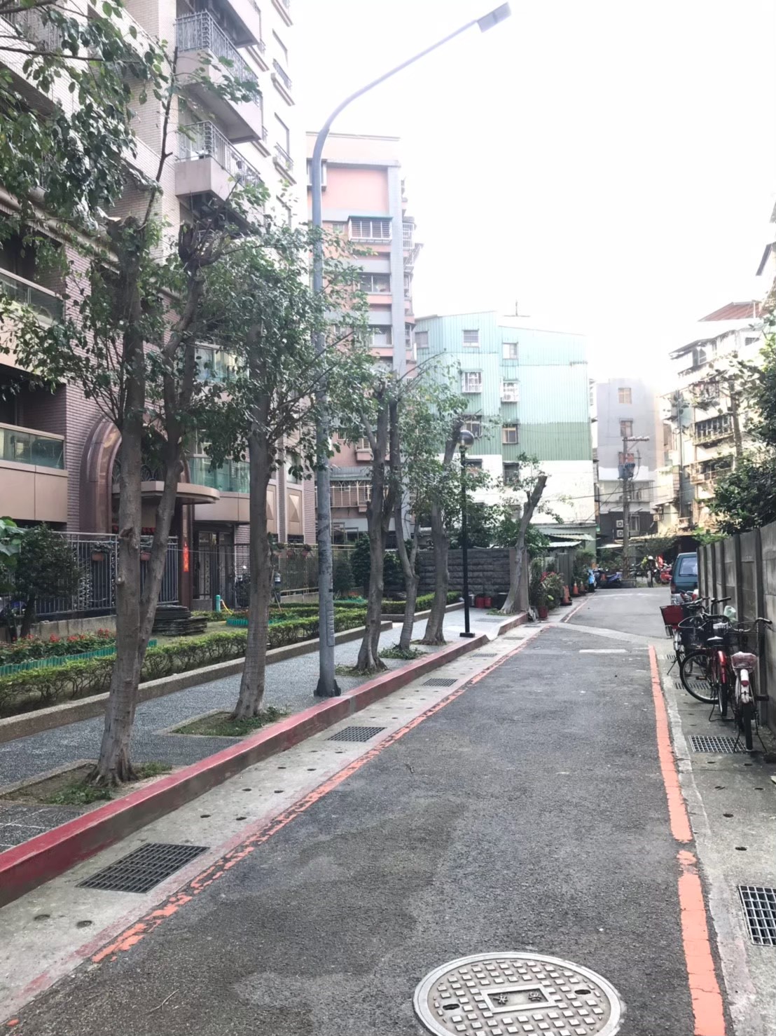 台北新北園藝綠植樹木修剪-園藝修剪整理,鋸樹矮化作業,花草樹木種植,園藝造園工程,庭院花園整理,割草鋸樹修剪-免費現勘