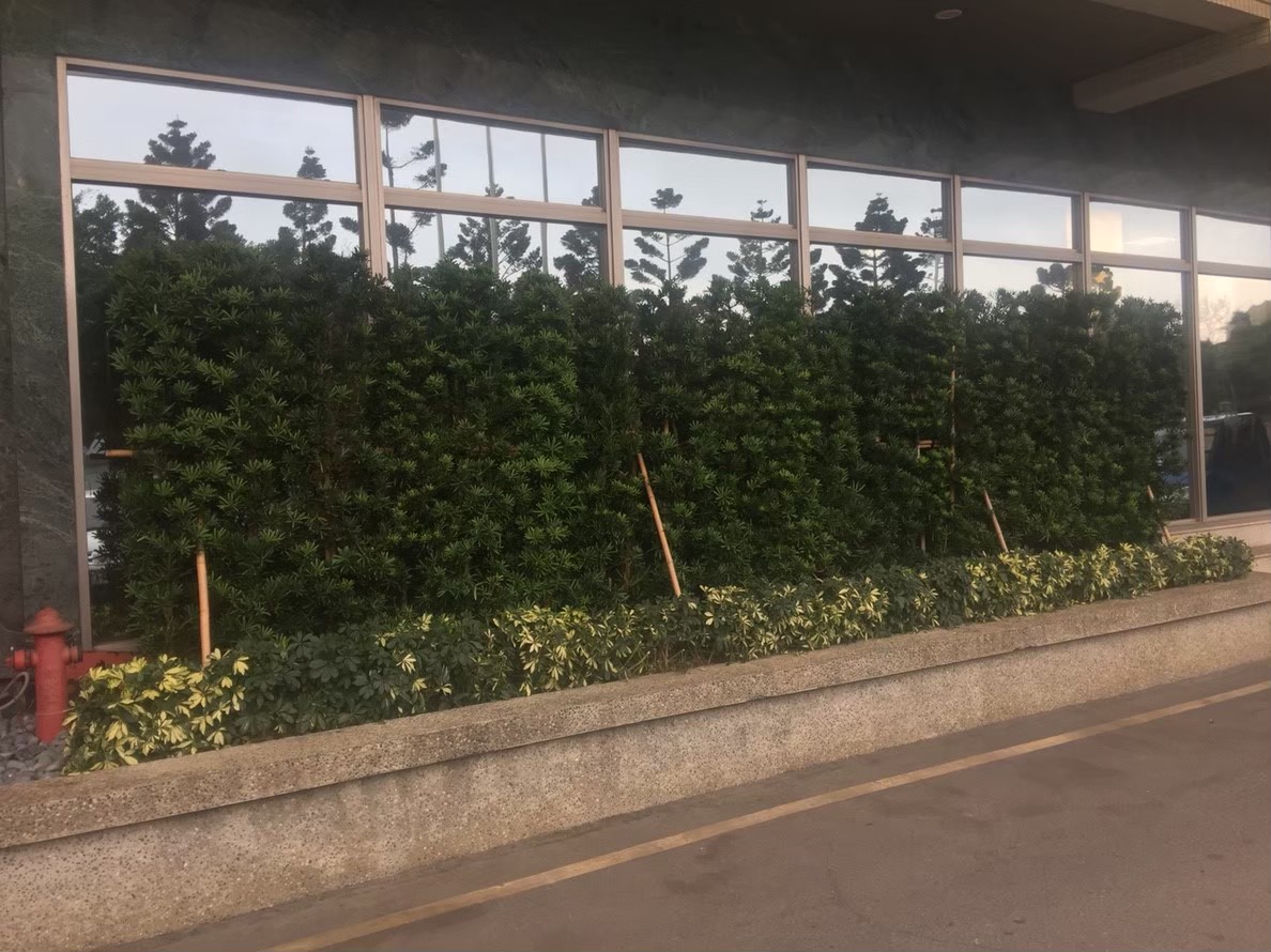 新北市公司工廠園藝修剪整理-園藝修剪整理,鋸樹矮化作業,花草樹木種植,園藝造園工程,庭院花園整理,割草鋸樹修剪-免費現勘