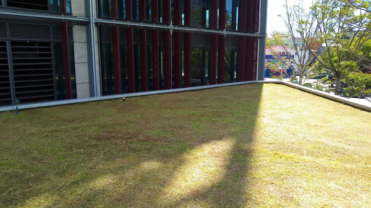 新北新裝社區園藝修剪整理工程-園藝修剪整理,鋸樹矮化作業,花草樹木種植,園藝造園工程,庭院花園整理,割草鋸樹修剪-免費現勘