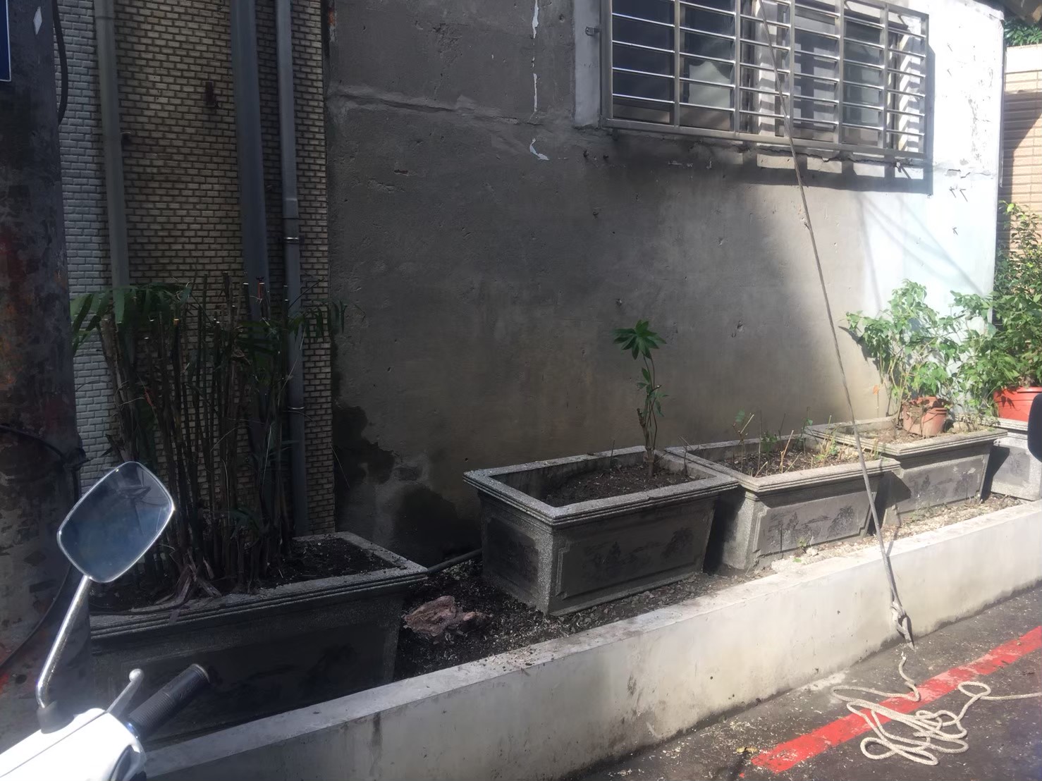 台北新北園藝綠植樹木修剪-園藝修剪整理,鋸樹矮化作業,花草樹木種植,園藝造園工程,庭院花園整理,割草鋸樹修剪-免費現勘