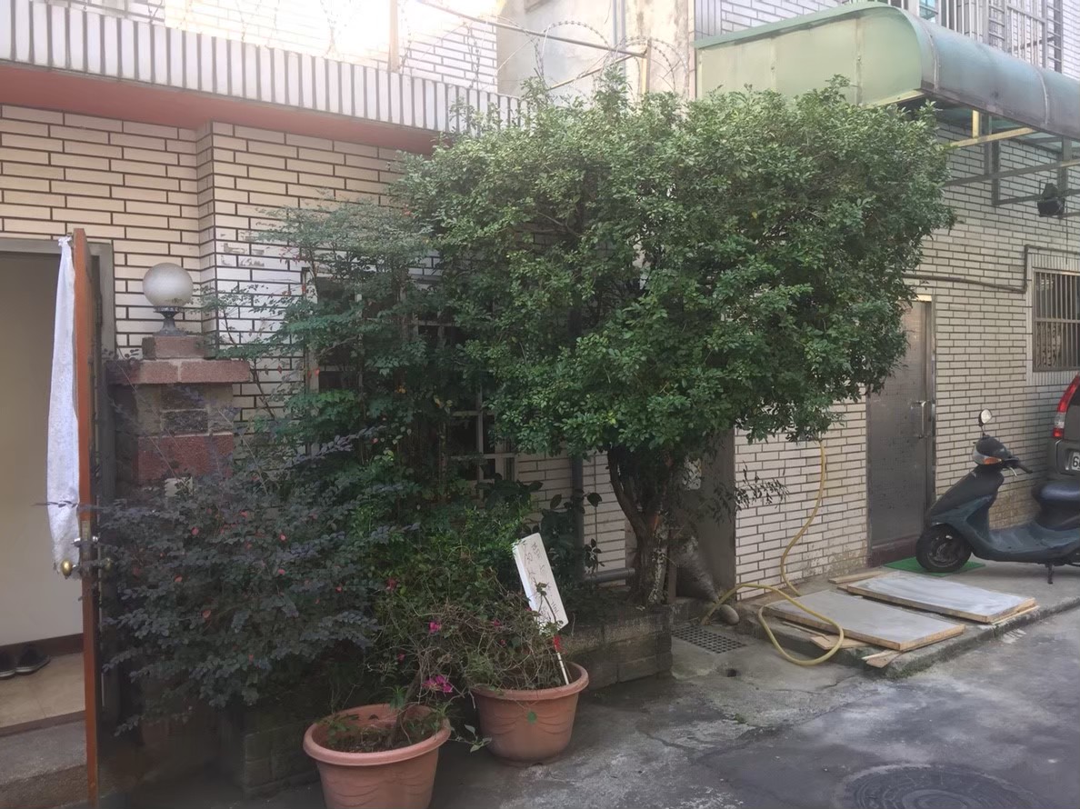 三重住家社區園藝修剪整理-園藝修剪整理,鋸樹矮化作業,花草樹木種植,園藝造園工程,庭院花園整理,割草鋸樹修剪-免費現勘