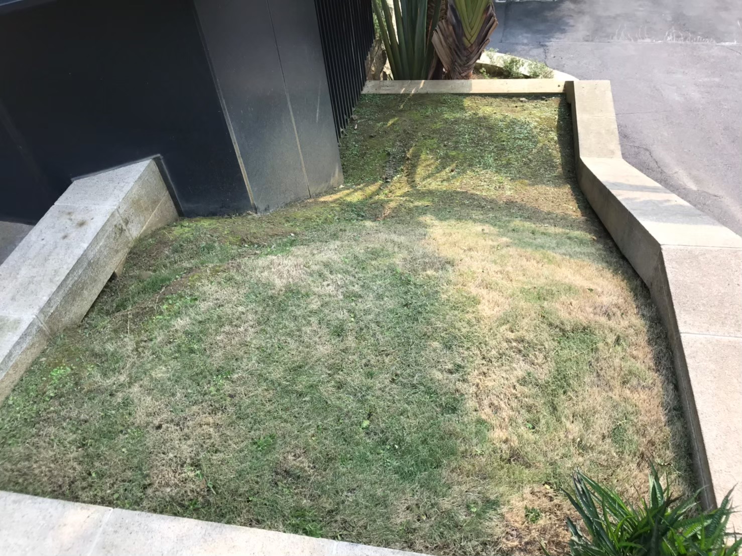 新北市社區園藝修剪維護-園藝修剪整理,鋸樹矮化作業,花草樹木種植,園藝造園工程,庭院花園整理,割草鋸樹修剪-免費現勘