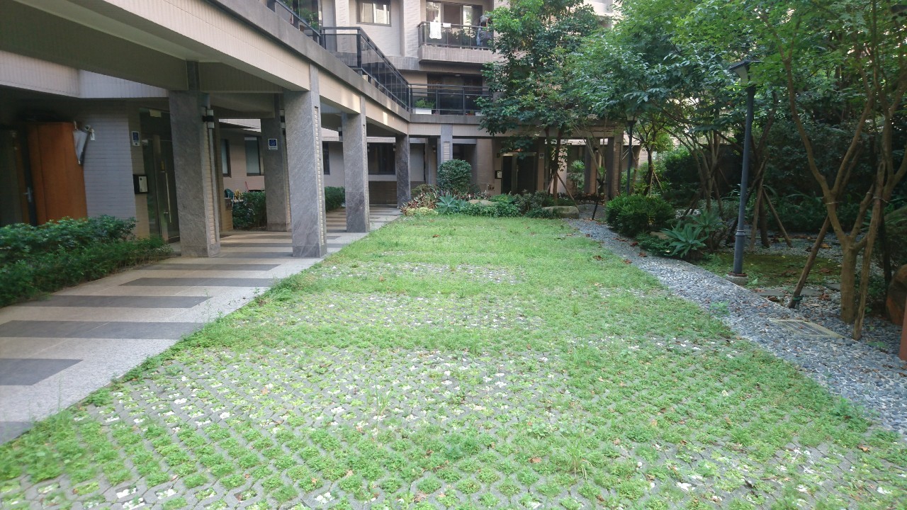 新店三峽園藝修剪割草整理-園藝修剪整理,鋸樹矮化作業,花草樹木種植,園藝造園工程,庭院花園整理,割草鋸樹修剪-免費現勘