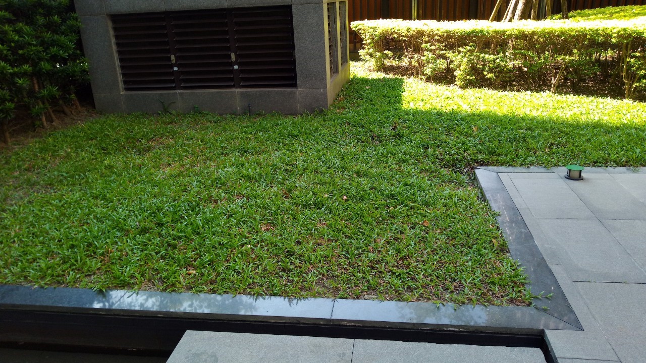 新北新裝社區園藝修剪整理工程-園藝修剪整理,鋸樹矮化作業,花草樹木種植,園藝造園工程,庭院花園整理,割草鋸樹修剪-免費現勘