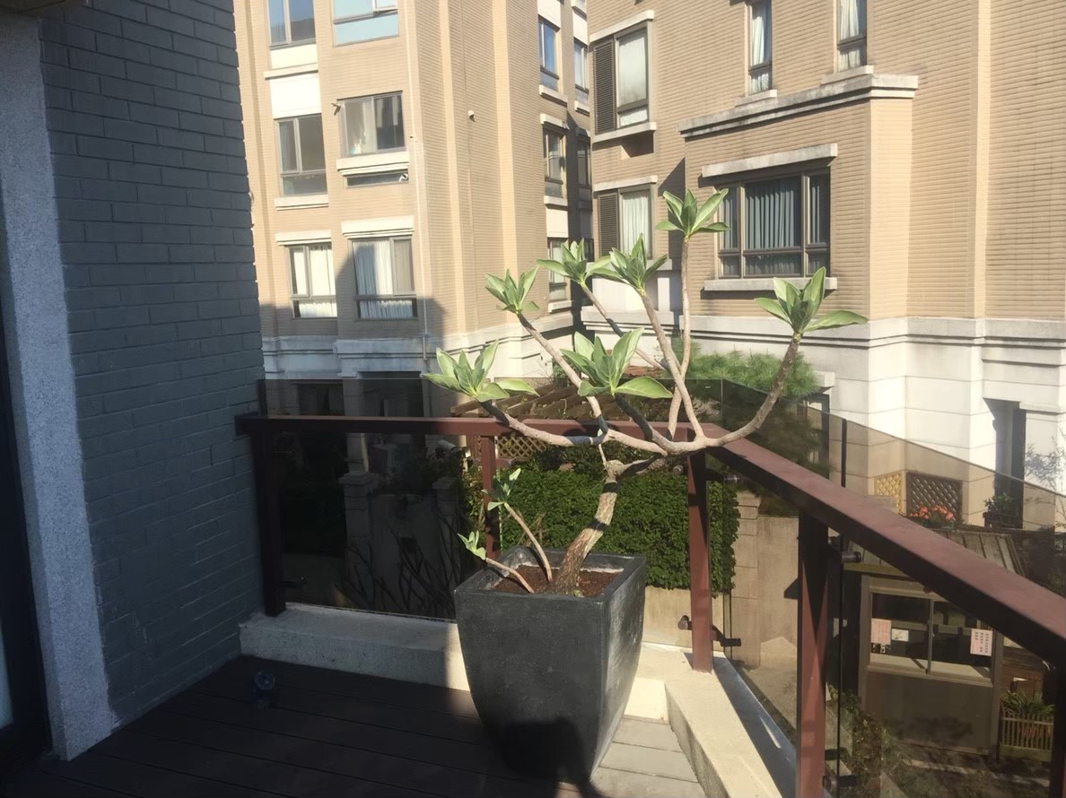 林口住家植栽種植--園藝修剪整理,鋸樹矮化工程,花草樹木種植,造園景觀工程,社區住家庭院園藝整-免費現勘