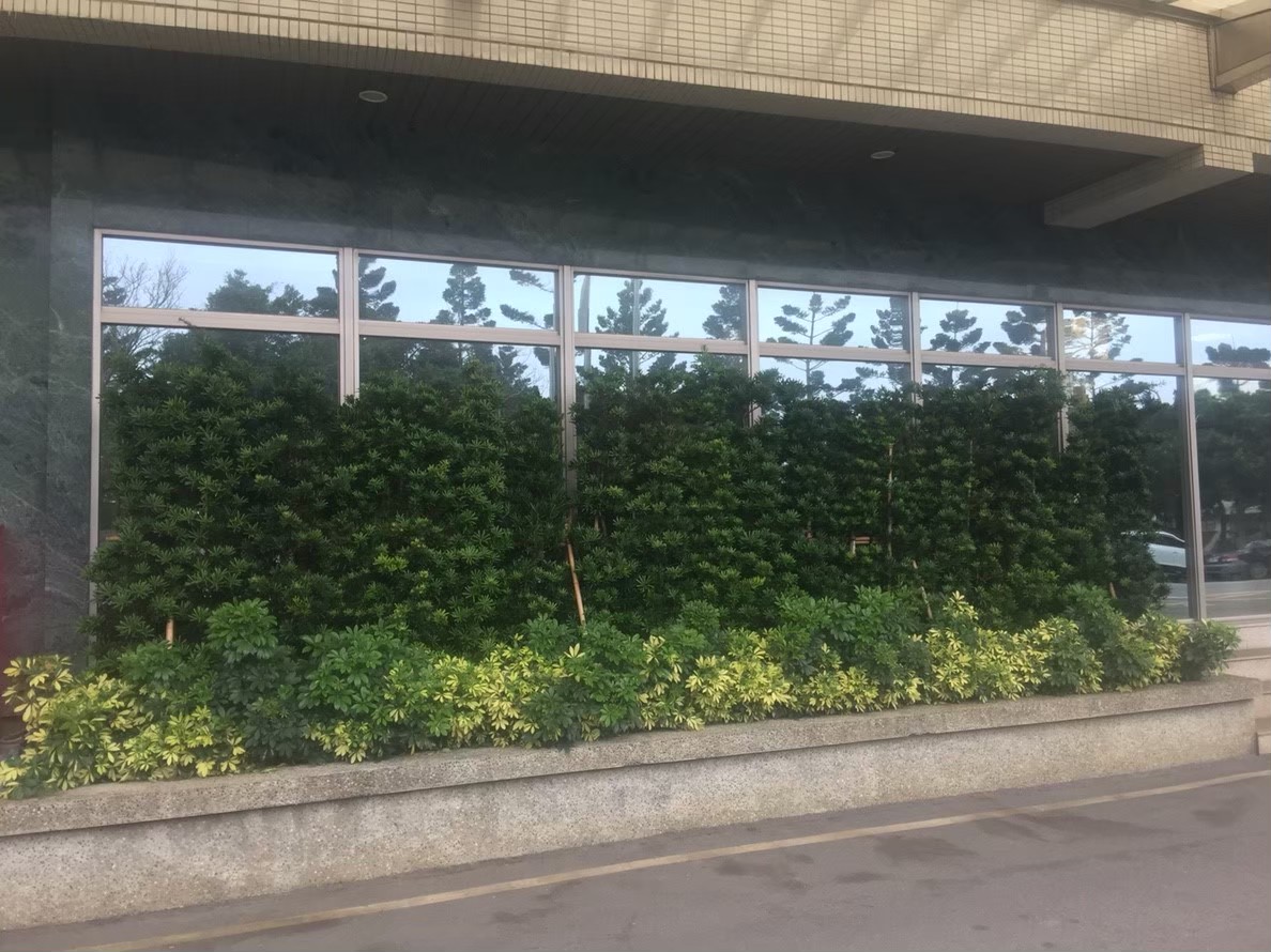 新北市公司工廠園藝修剪整理-園藝修剪整理,鋸樹矮化作業,花草樹木種植,園藝造園工程,庭院花園整理,割草鋸樹修剪-免費現勘