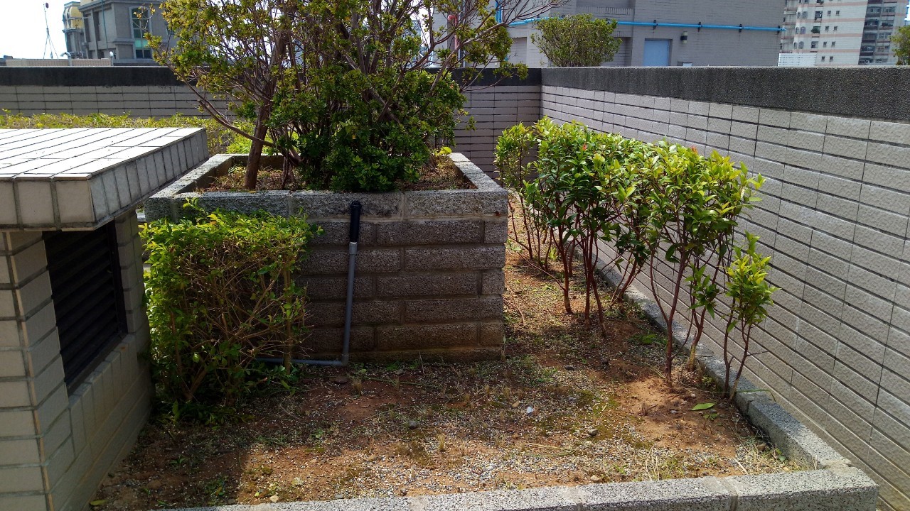 淡水八里社區園藝修剪整理工程-園藝修剪整理,鋸樹矮化作業,花草樹木種植,園藝造園工程,庭院花園整理,割草鋸樹修剪-免費現勘