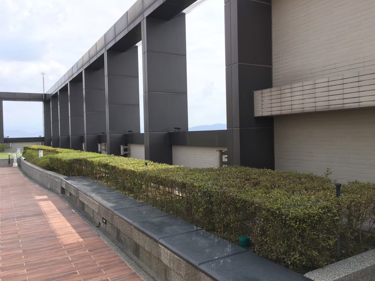 新莊公司大樓綠植修剪整理-園藝修剪整理,鋸樹矮化作業,花草樹木種植,園藝造園工程,庭院花園整理,割草鋸樹修剪-免費現勘