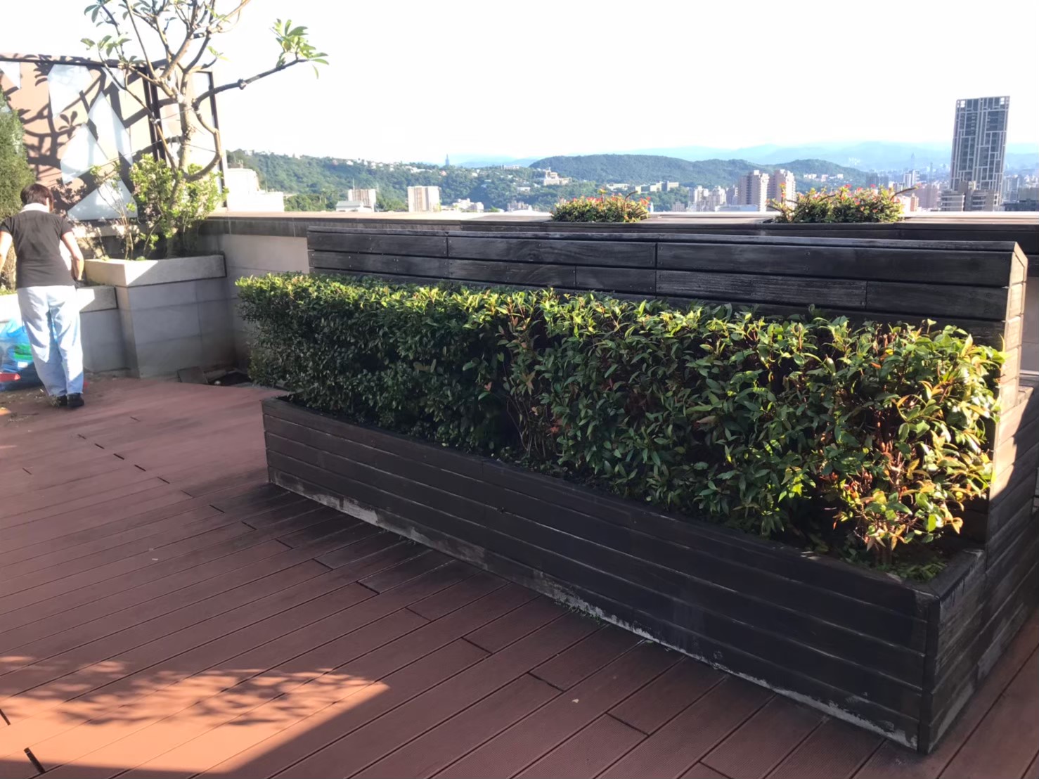 台北新北園藝綠植修剪整理-園藝修剪整理,鋸樹矮化作業,花草樹木種植,園藝造園工程,庭院花園整理,割草鋸樹修剪-免費現勘