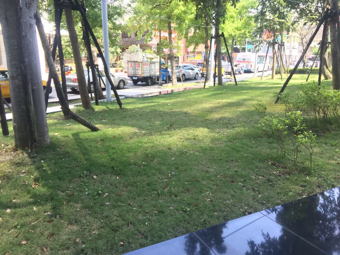 台北公司庭院園藝修剪維護-園藝修剪整理,鋸樹矮化作業,花草樹木種植,園藝造園工程,庭院花園整理,割草鋸樹修剪-免費現勘