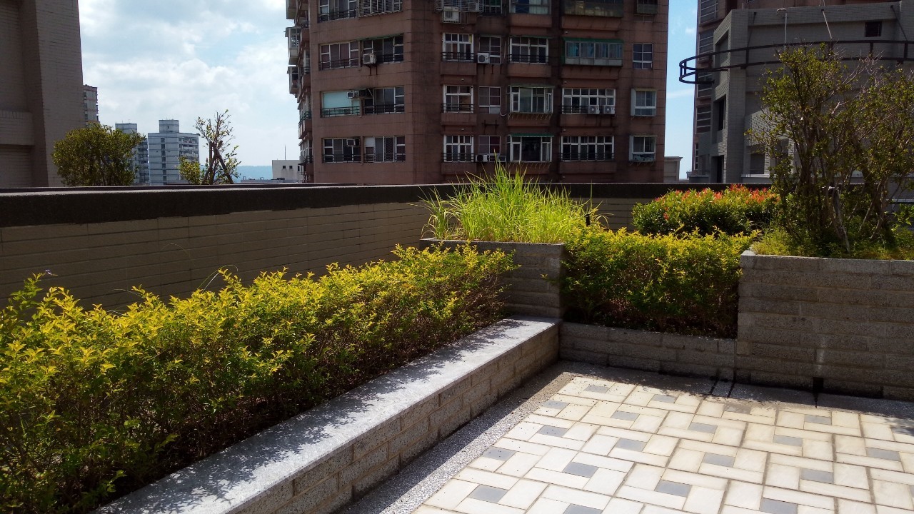 淡水八里社區園藝修剪整理工程-園藝修剪整理,鋸樹矮化作業,花草樹木種植,園藝造園工程,庭院花園整理,割草鋸樹修剪-免費現勘