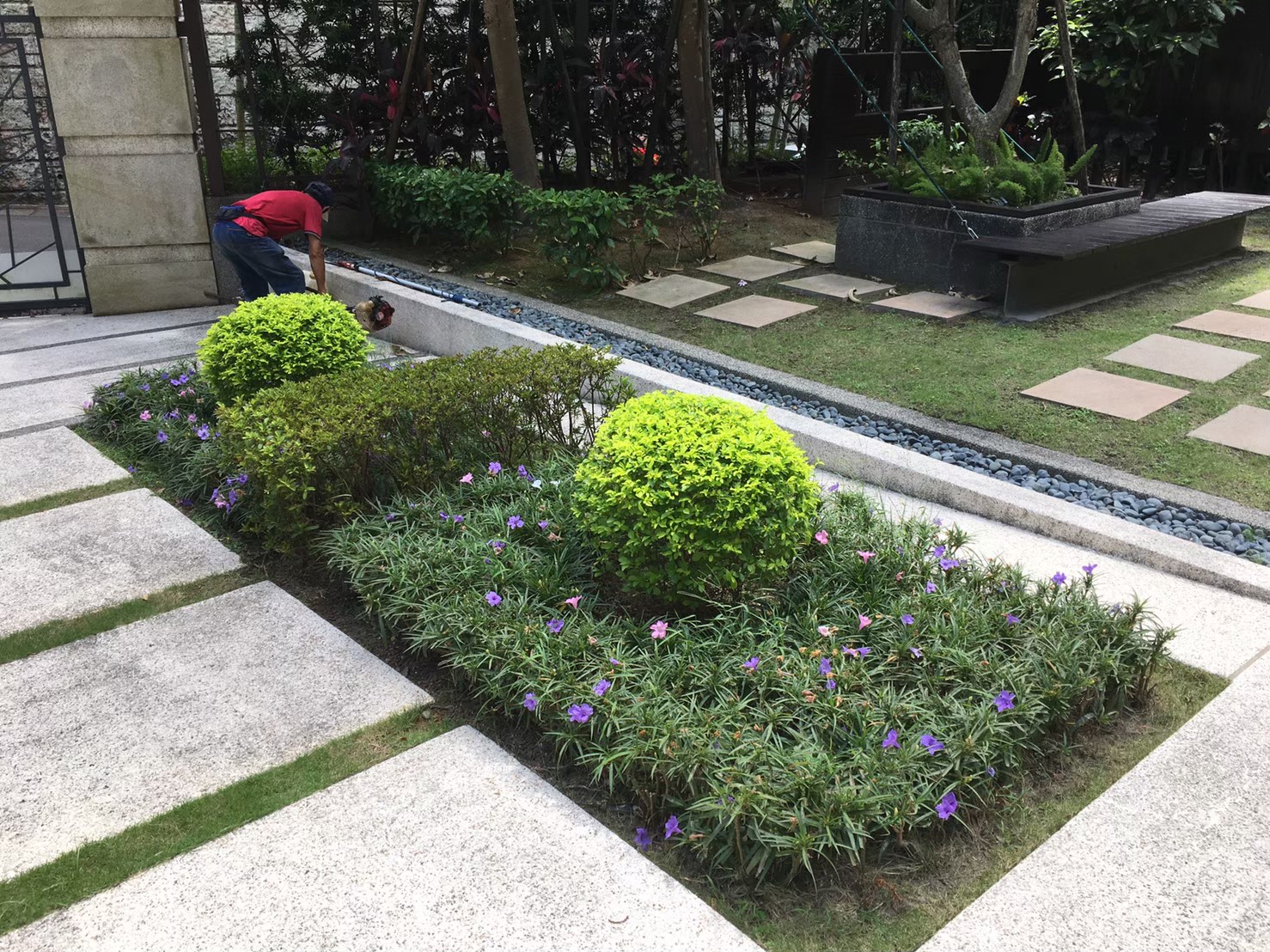 台北內湖社區園藝修剪整理-園藝修剪整理,鋸樹矮化作業,花草樹木種植,園藝造園工程,庭院花園整理,割草鋸樹修剪-免費現勘