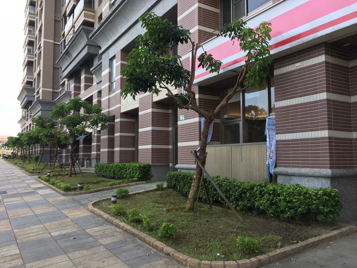 台北新北園藝綠植樹木修剪-園藝修剪整理,鋸樹矮化作業,花草樹木種植,園藝造園工程,庭院花園整理,割草鋸樹修剪-免費現勘