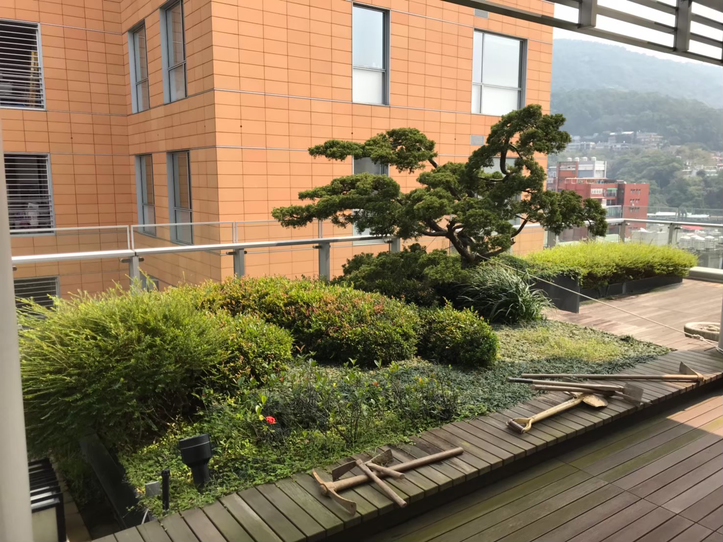 台北社區庭院換植草皮-園藝修剪整理,鋸樹矮化工程,花草樹木種植,造園景觀工程社區住家庭院園藝整-免費現勘