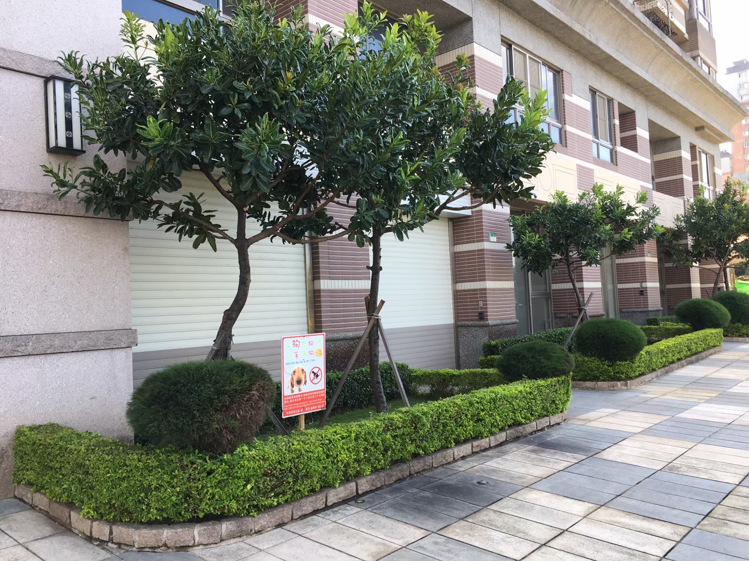 台北新北園藝綠植樹木修剪-園藝修剪整理,鋸樹矮化作業,花草樹木種植,園藝造園工程,庭院花園整理,割草鋸樹修剪-免費現勘