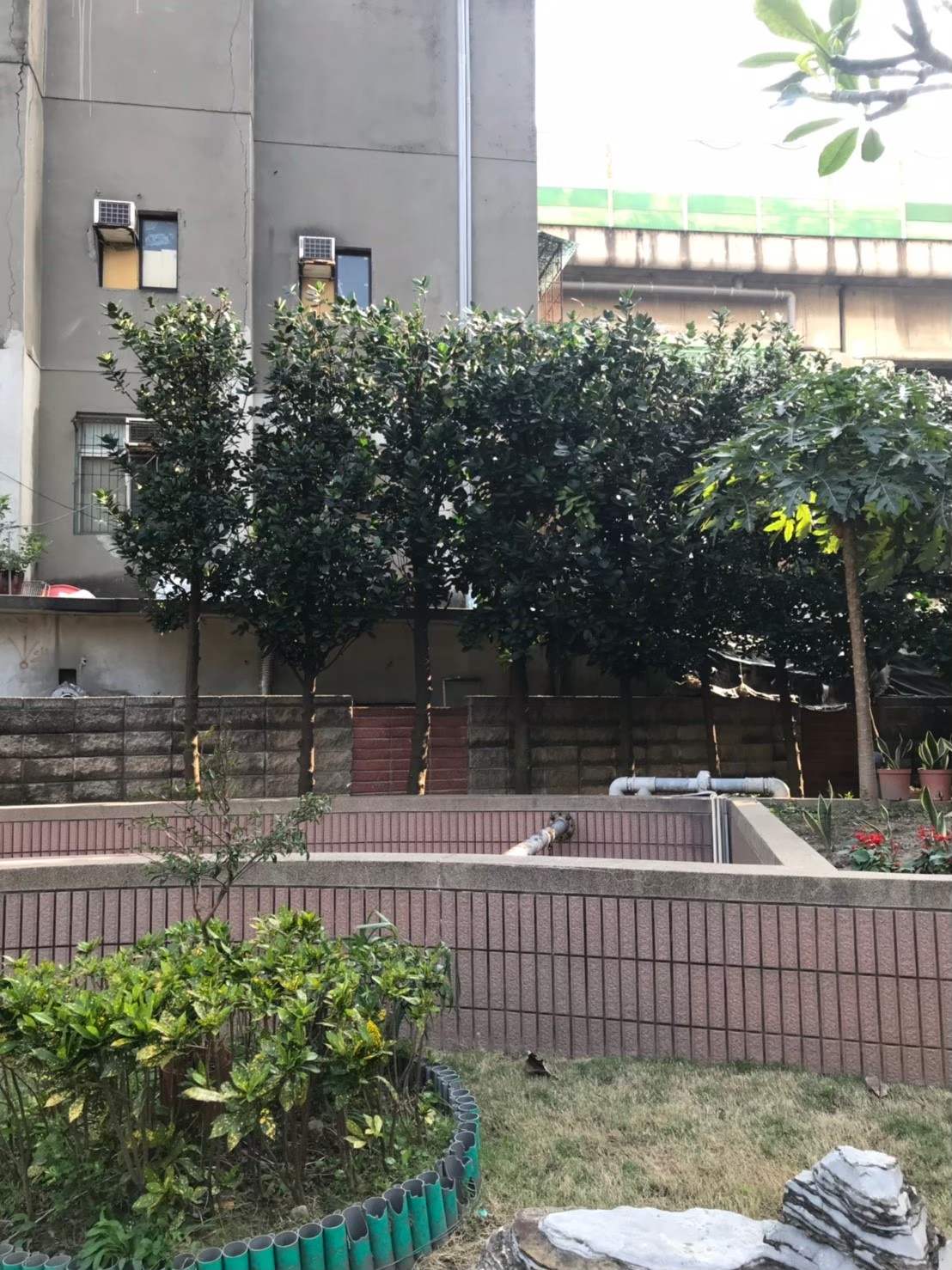 台北新北園藝綠植樹木修剪-園藝修剪整理,鋸樹矮化作業,花草樹木種植,園藝造園工程,庭院花園整理,割草鋸樹修剪-免費現勘