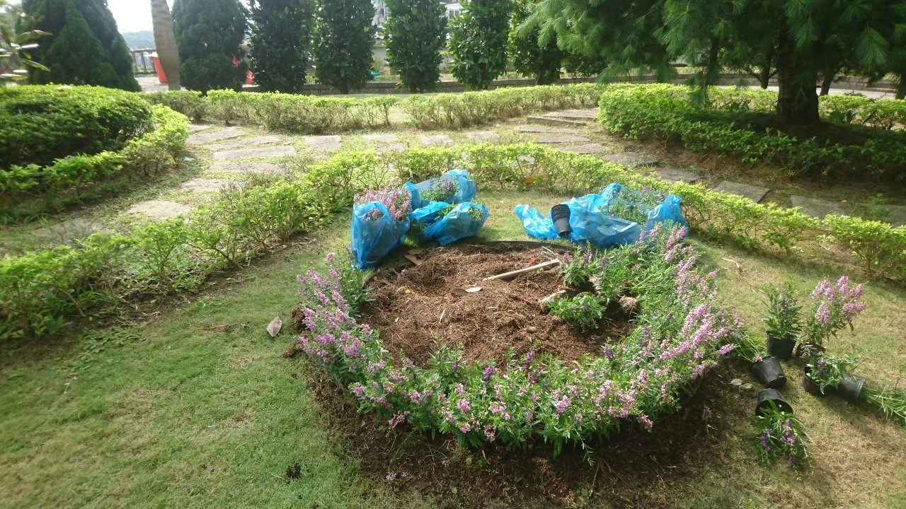 台北社區庭院園藝花草種植-園藝修剪整理,鋸樹矮化工程,花草樹木種植,造園景觀工程社區住家庭院園藝整-免費現勘