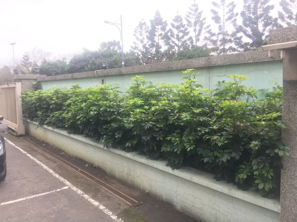 新北市公司工廠園藝修剪整理-園藝修剪整理,鋸樹矮化作業,花草樹木種植,園藝造園工程,庭院花園整理,割草鋸樹修剪-免費現勘