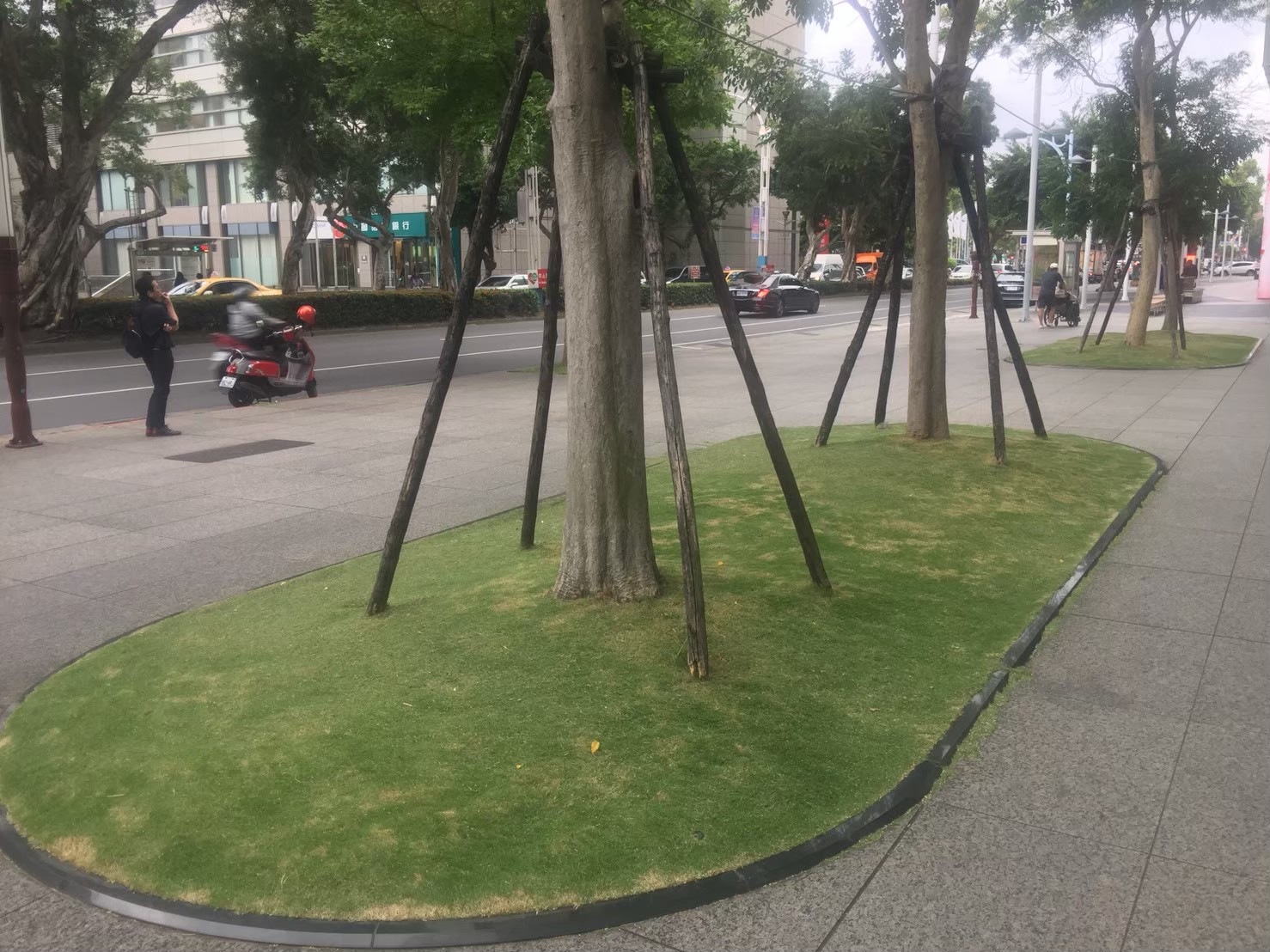 台北公司大樓園藝修剪維護-園藝修剪整理,鋸樹矮化作業,花草樹木種植,園藝造園工程,庭院花園整理,割草鋸樹修剪-免費現勘