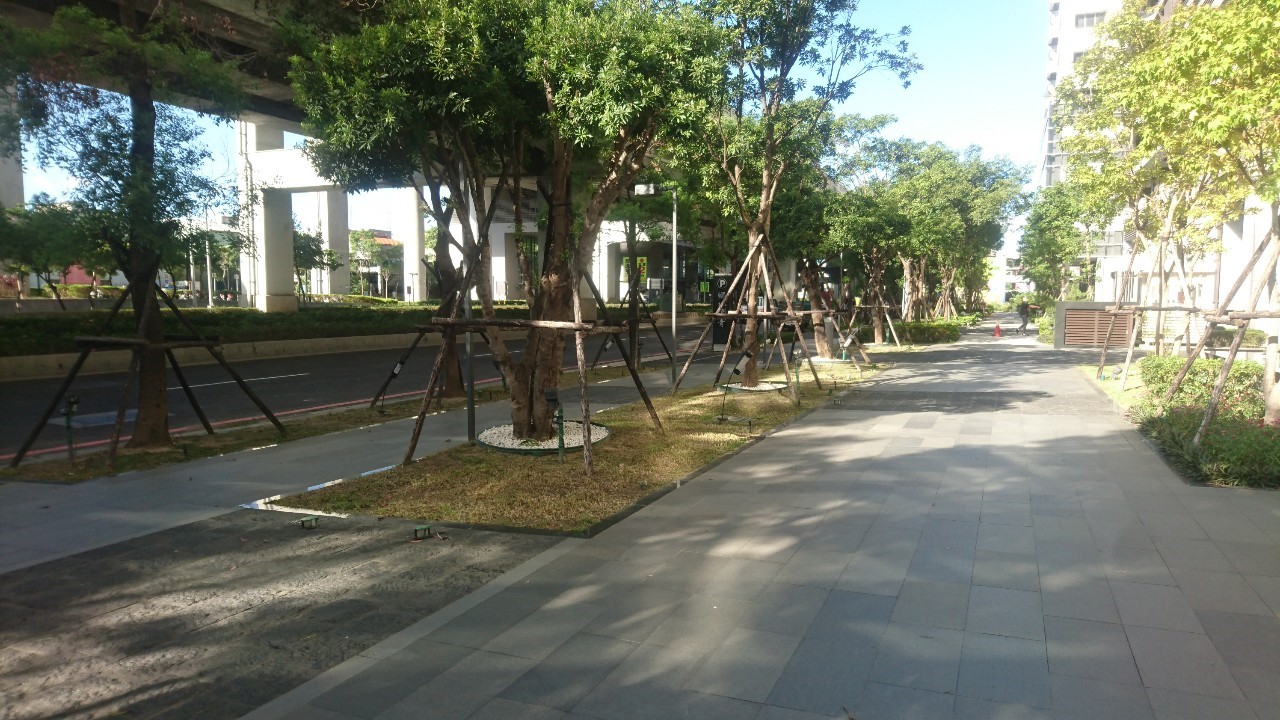 台北新北園藝綠植修剪整理-園藝修剪整理,鋸樹矮化作業,花草樹木種植,園藝造園工程,庭院花園整理,割草鋸樹修剪-免費現勘