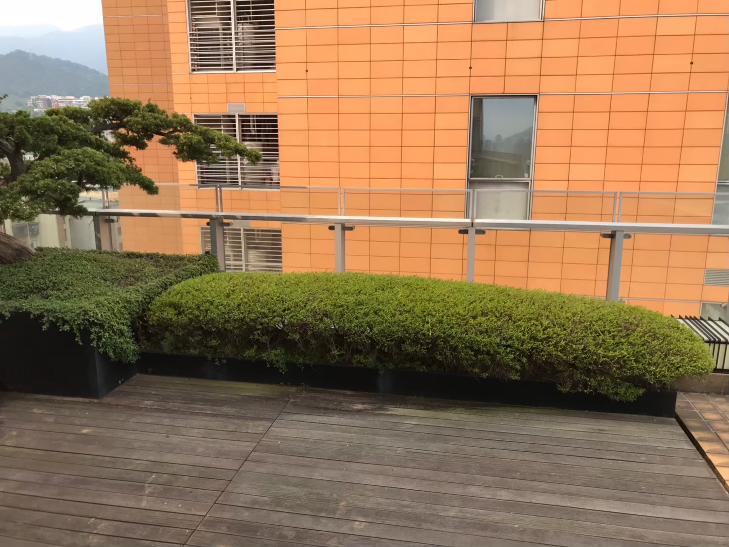 台北社區園藝修剪整理-園藝修剪整理,鋸樹矮化作業,花草樹木種植,園藝造園工程,庭院花園整理,割草鋸樹修剪-免費現勘