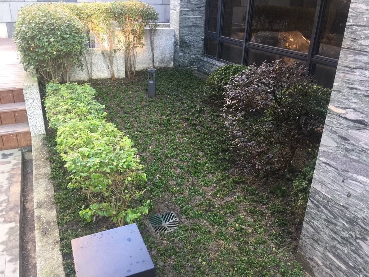 林口住家庭院貼草皮-園藝修剪整理,鋸樹矮化工程,花草樹木種植,造園景觀工程社區住家庭院園藝整-免費現勘