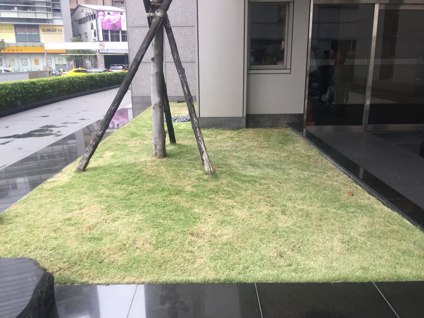 台北大樓中庭園藝修剪維護-園藝修剪整理,鋸樹矮化作業,花草樹木種植,園藝造園工程,庭院花園整理,割草鋸樹修剪-免費現勘