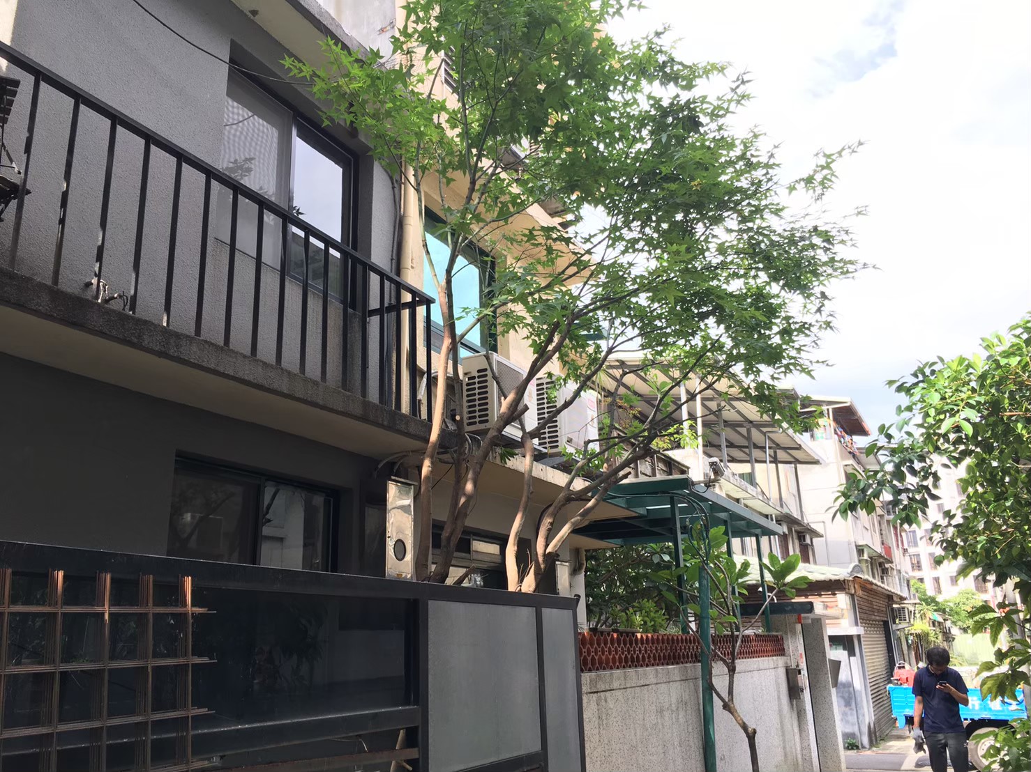 台北新北園藝綠植樹木修剪-園藝修剪整理,鋸樹矮化作業,花草樹木種植,園藝造園工程,庭院花園整理,割草鋸樹修剪-免費現勘